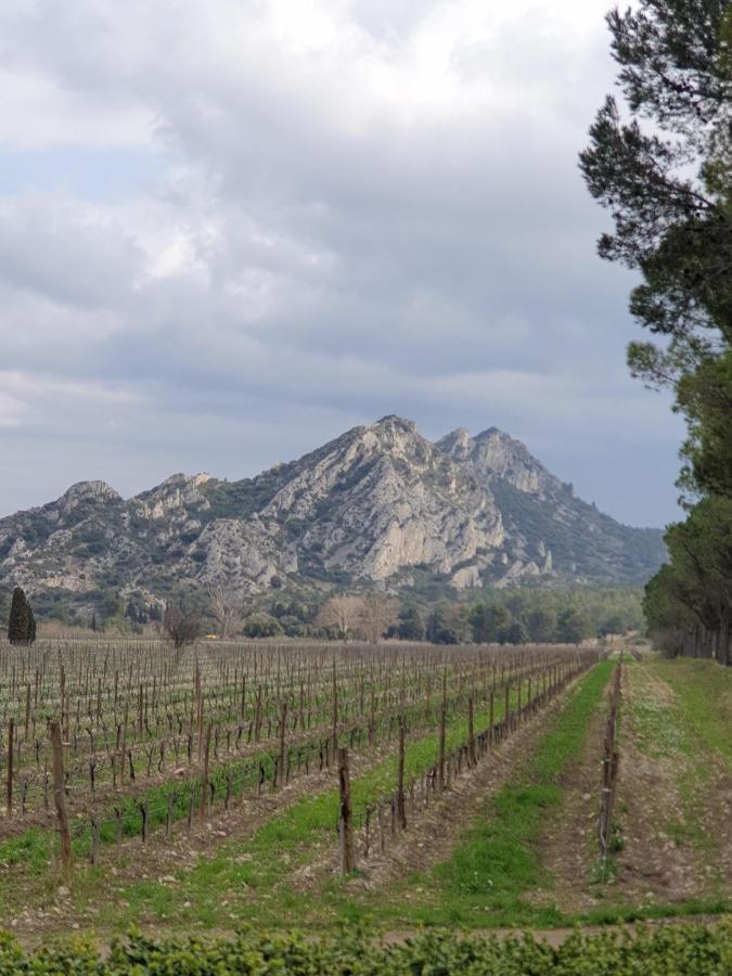 شقة Les Estrelles Saint-Rémy-de-Provence المظهر الخارجي الصورة